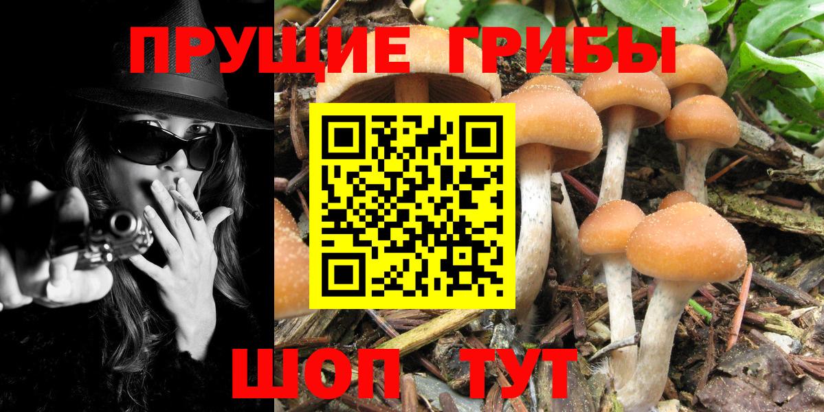 Южно-Сахалинск  Галлюциногенные грибы прущие грибы  Вход с VPN 